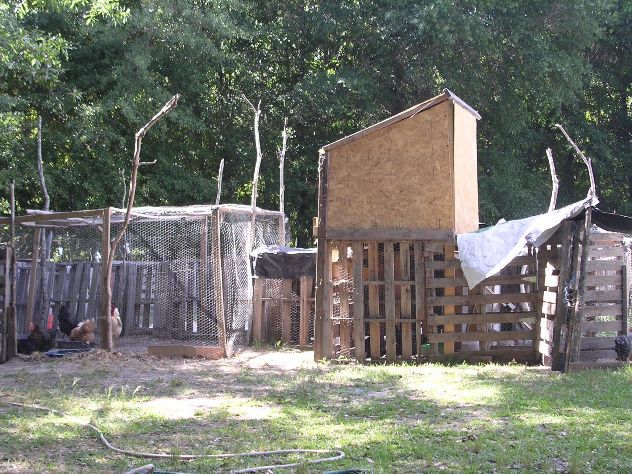 Chicken Coop made from Pallets | The Homestead Experiment